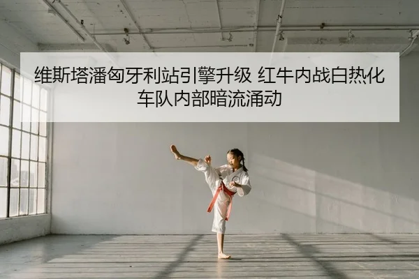 wei-si-ta-pan-xiong-ya-li-zhan-yin-qing-sheng-ji-hong-niu-nei-zhan-bai-re-hua-che-dui-nei-bu-an-liu-yong-dong-2-389.jpg